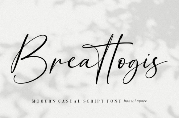 Breattogis Font for Web Design