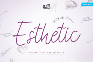 Esthetic Font for Professional Branding