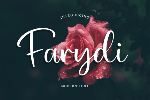 Farydi Font: Modern Script for Web Design