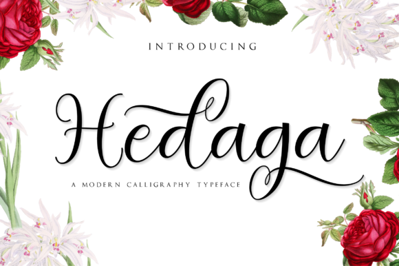 Hedaga: A Script Font for Elegant Branding